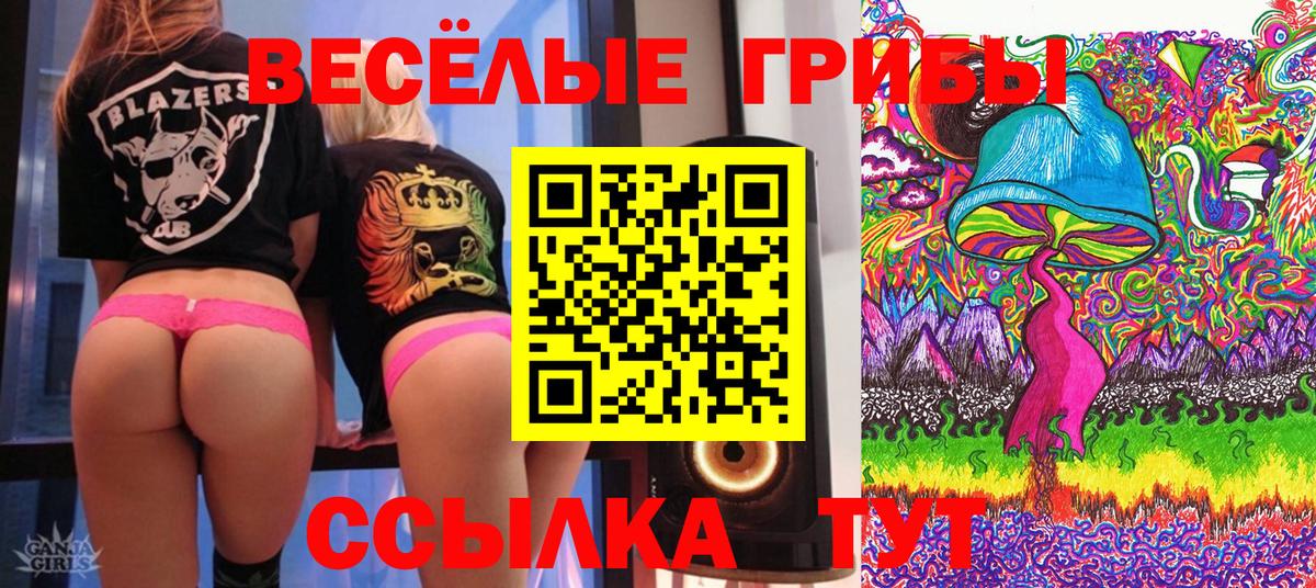 Галлюциногенные грибы Psilocybine cubensis  Вход с VPN  Туймазы 